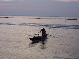Returning from clamming