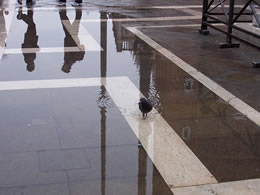 Reflections in high water at San Marco 2